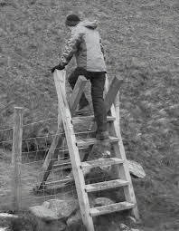 Fance Ladder Fence Ladder
